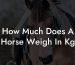 How Much Does A Horse Weigh In Kg
