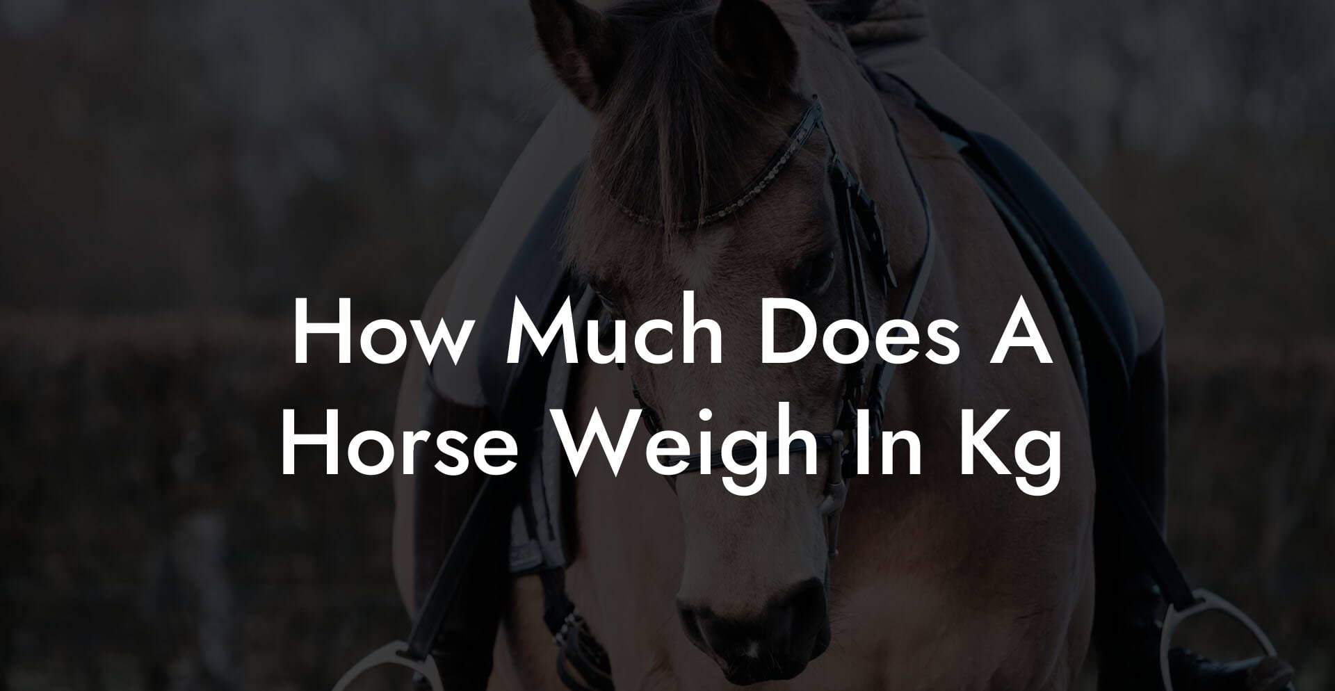 How Much Does A Horse Weigh In Kg