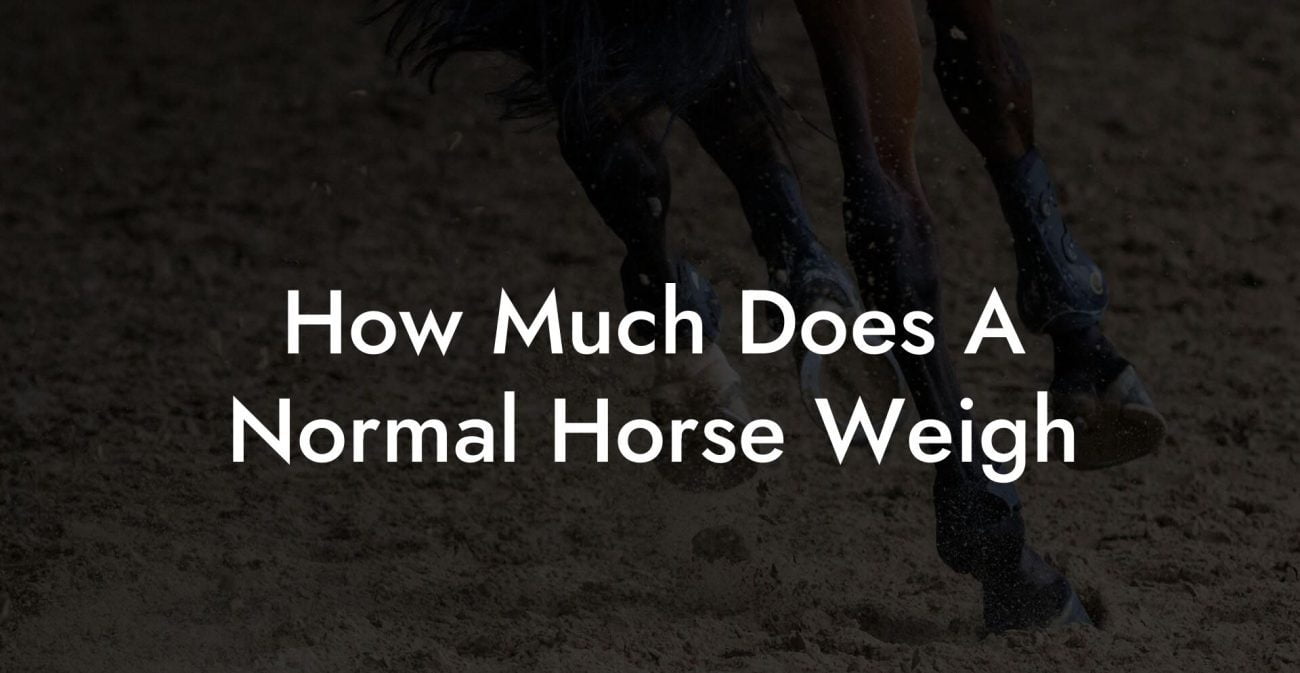 How Much Does A Normal Horse Weigh