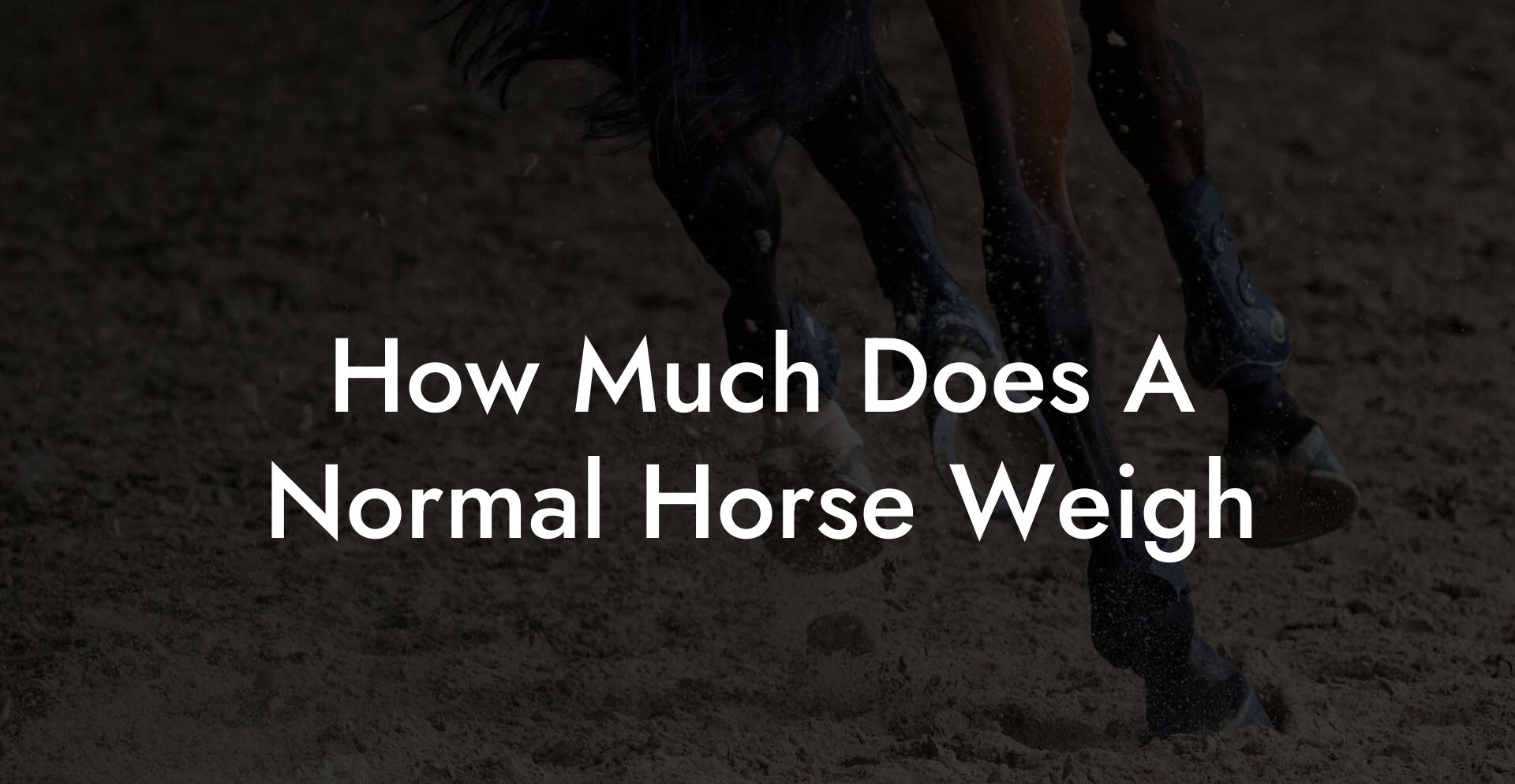 How Much Does A Normal Horse Weigh