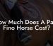 How Much Does A Paso Fino Horse Cost?