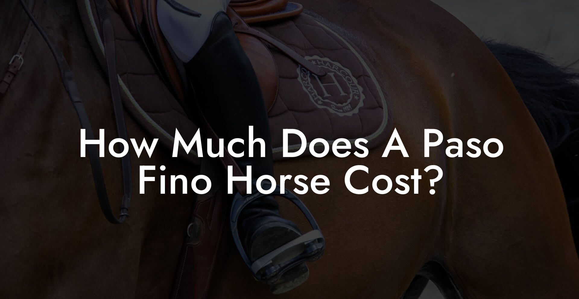 How Much Does A Paso Fino Horse Cost