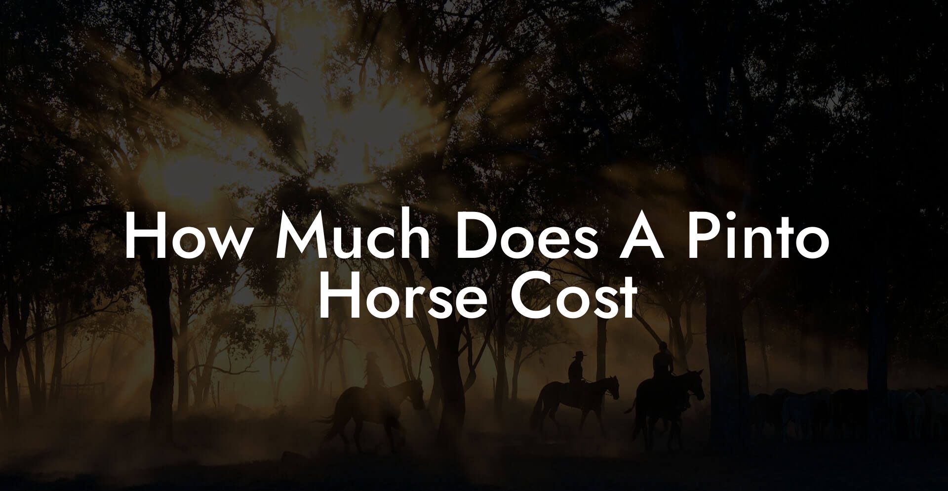 How Much Does A Pinto Horse Cost