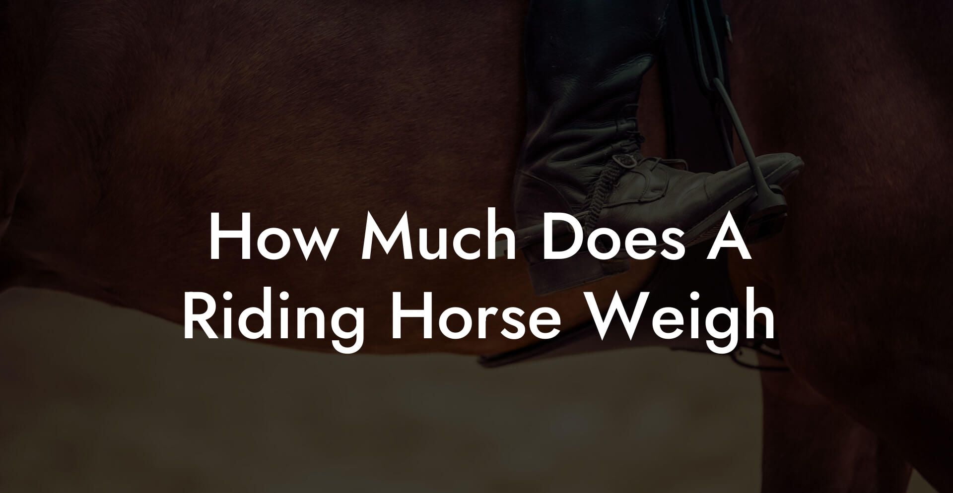 How Much Does A Riding Horse Weigh