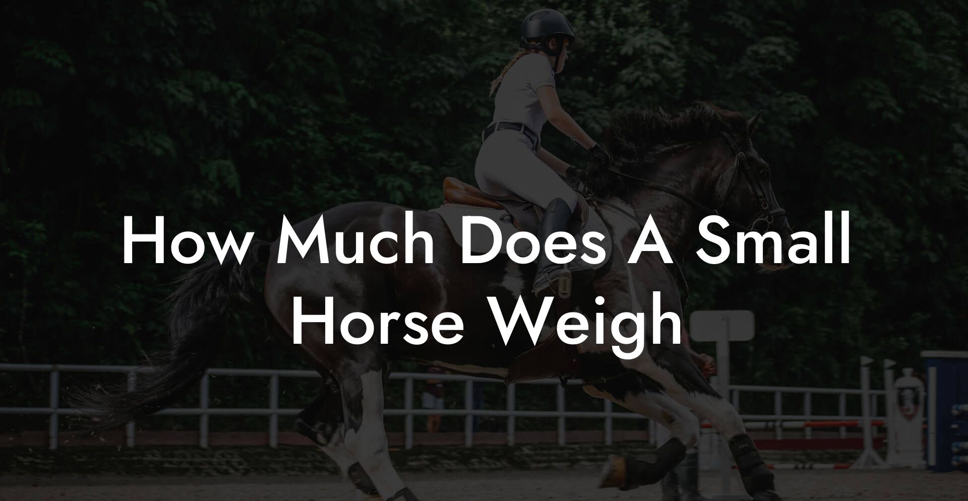 How Much Does A Small Horse Weigh