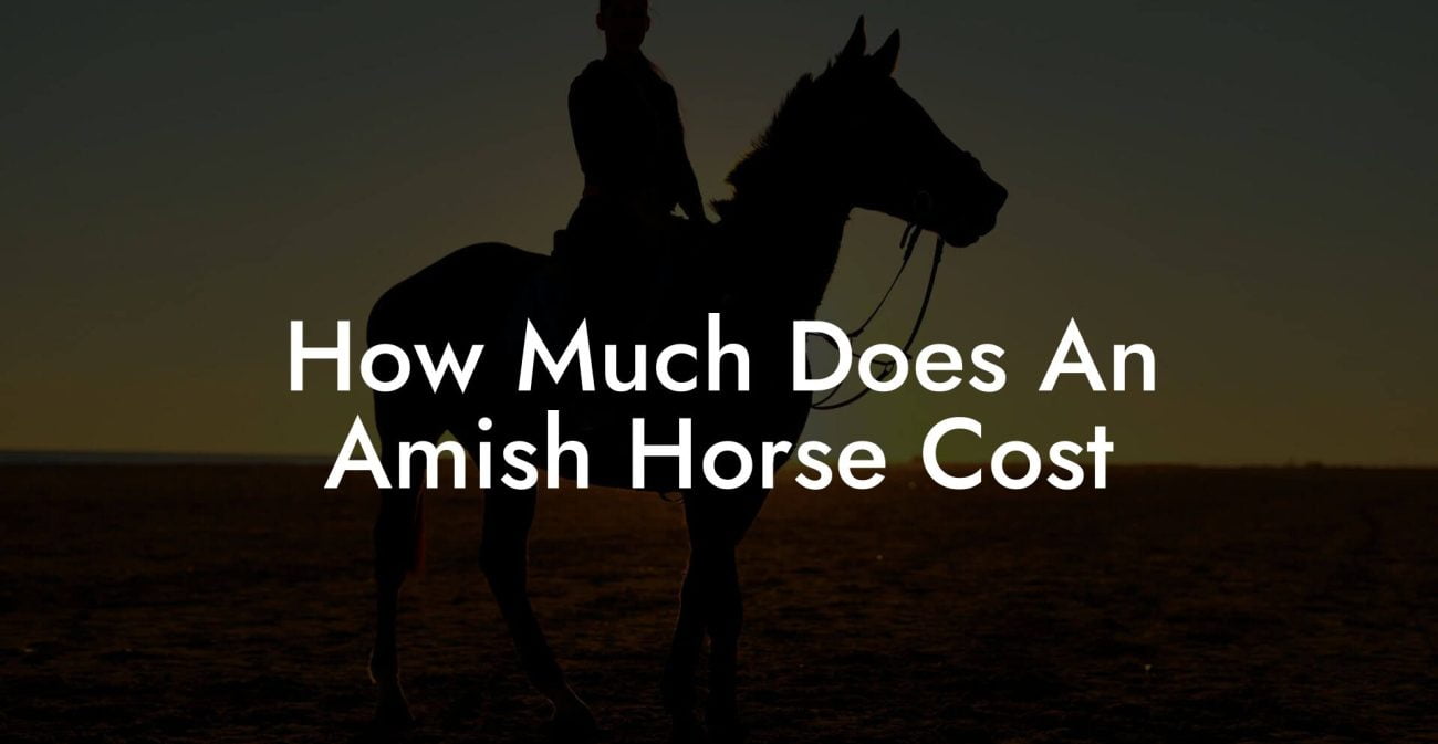 How Much Does An Amish Horse Cost