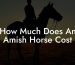 How Much Does An Amish Horse Cost