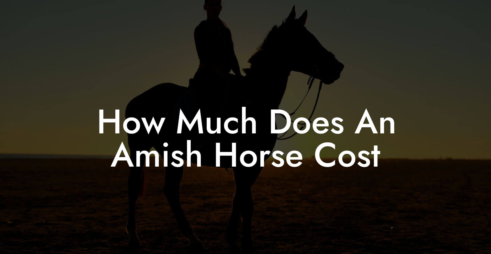 How Much Does An Amish Horse Cost