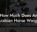 How Much Does An Arabian Horse Weigh