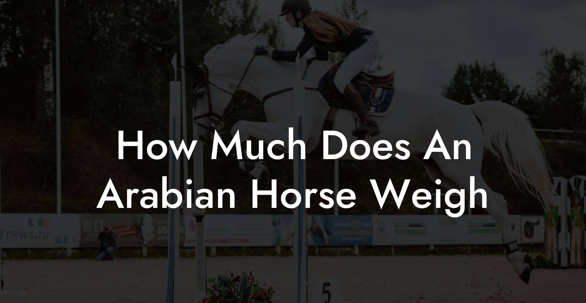 How Much Does An Arabian Horse Weigh