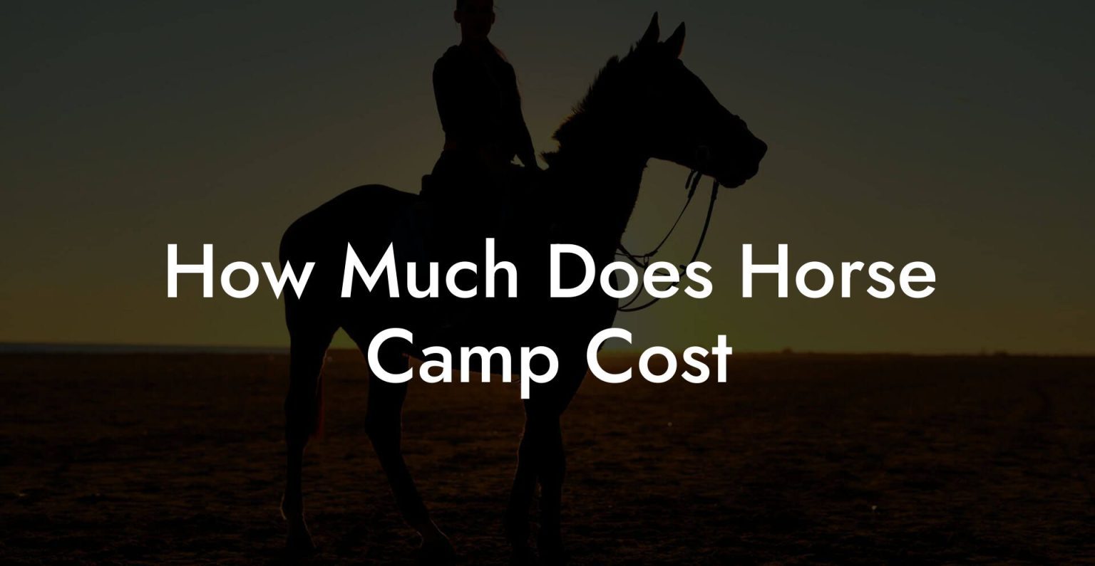 How Much Does Horse Camp Cost How To Own a Horse