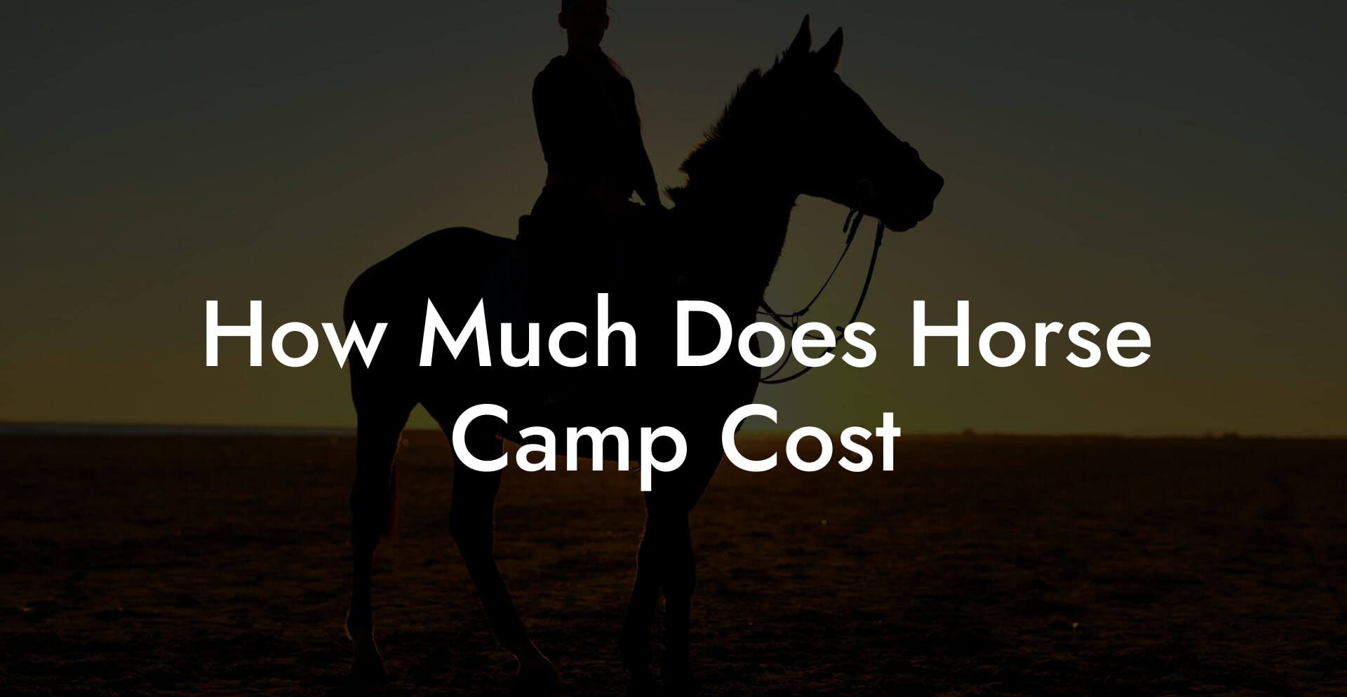 How Much Does Horse Camp Cost