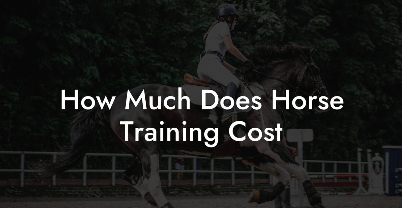 How Much Does Horse Training Cost