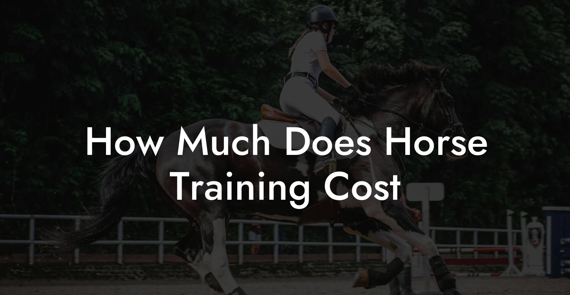 How Much Does Horse Training Cost
