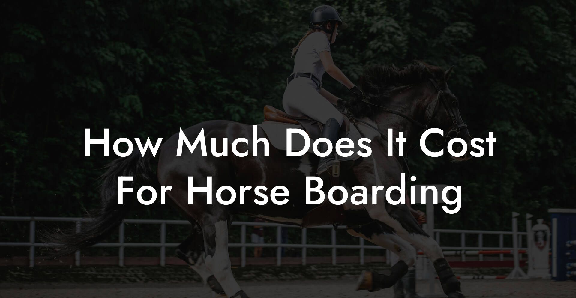How Much Does It Cost For Horse Boarding