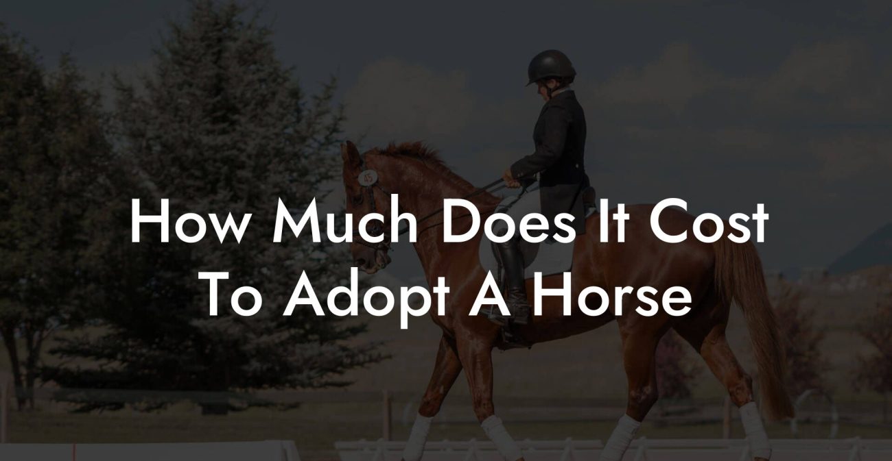 How Much Does It Cost To Adopt A Horse