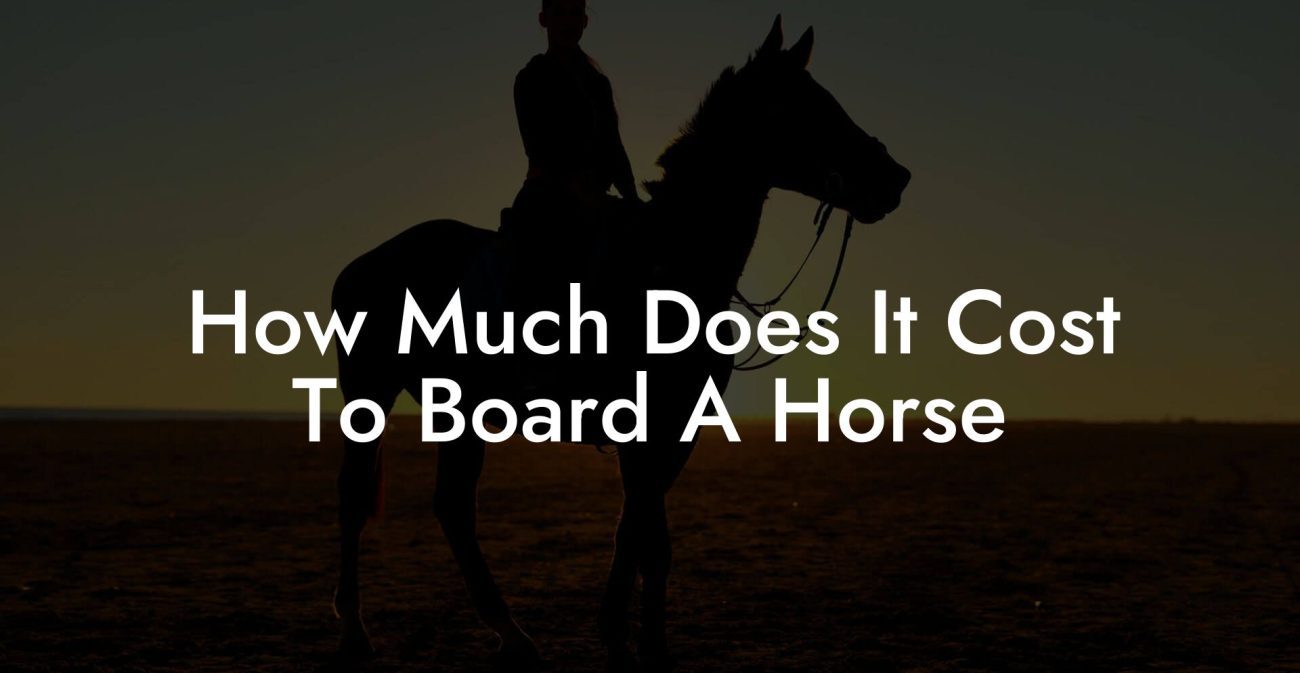 How Much Does It Cost To Board A Horse