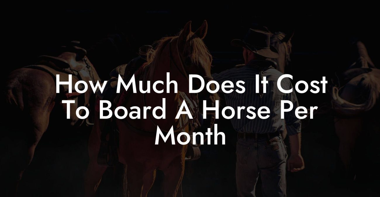 How Much Does It Cost To Board A Horse Per Month