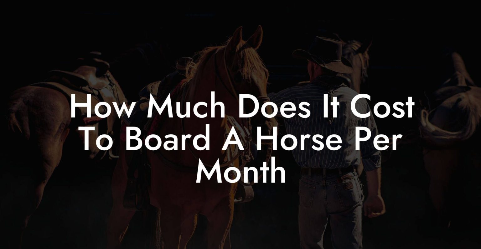 How Much Does It Cost To Board A Horse Per Month How To Own a Horse