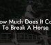 How Much Does It Cost To Break A Horse
