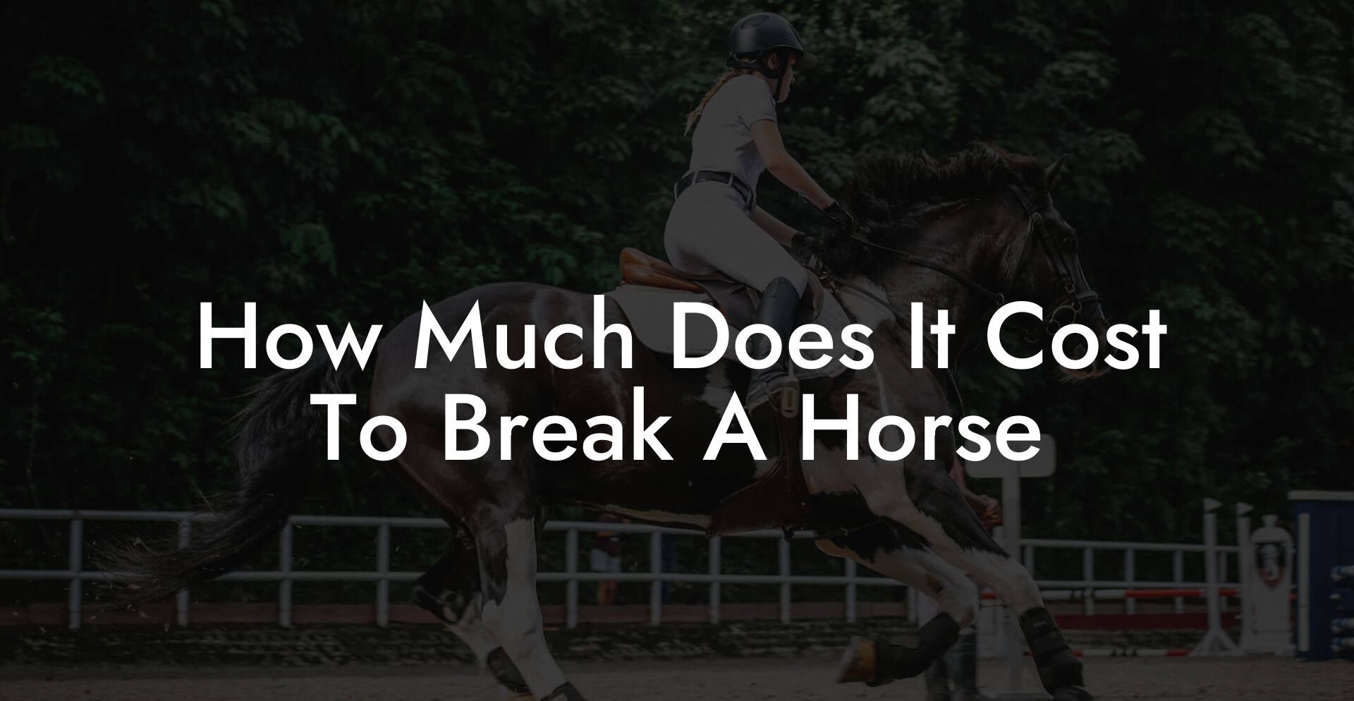 How Much Does It Cost To Break A Horse