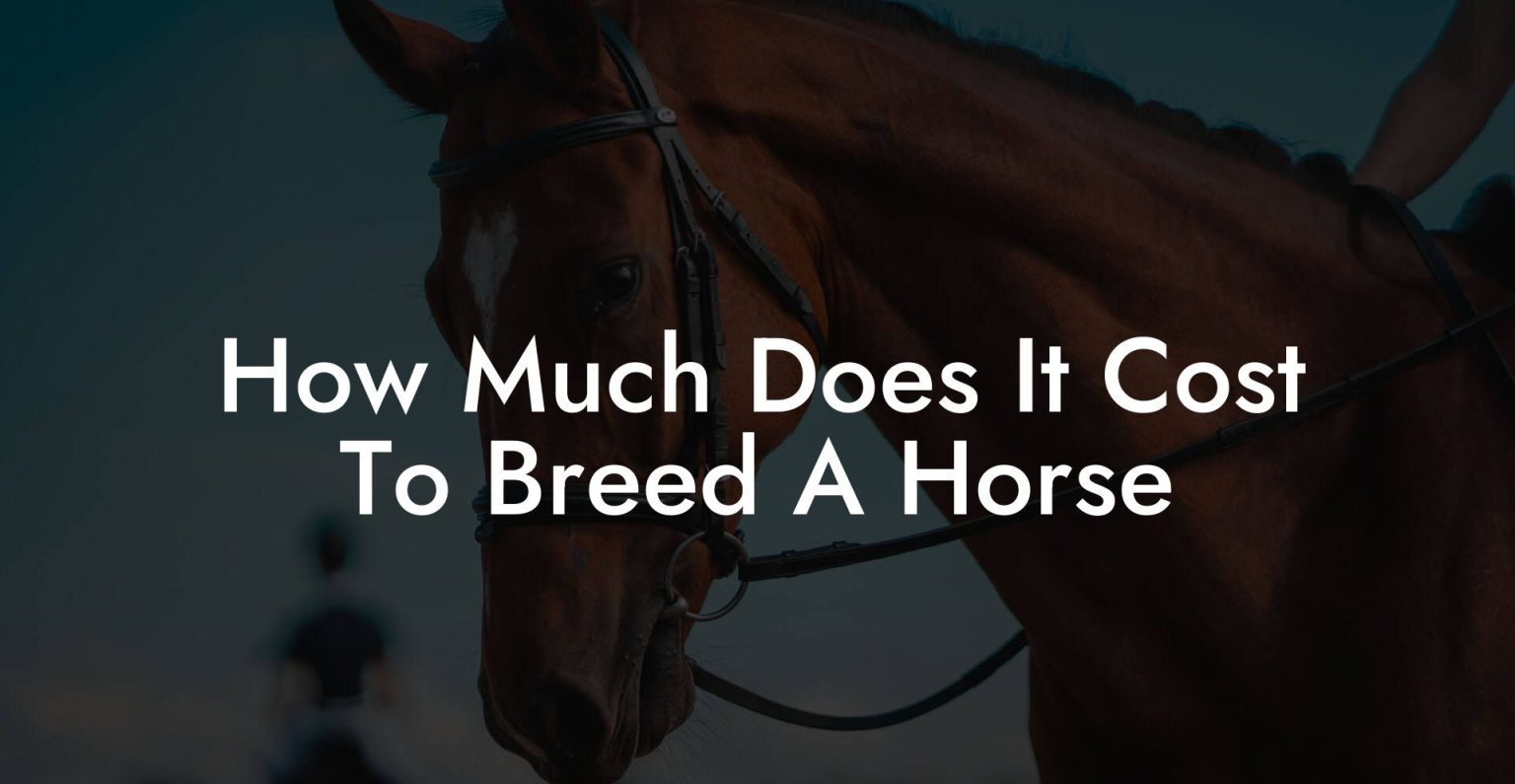 How Much Does It Cost To Breed A Horse - How To Own a Horse