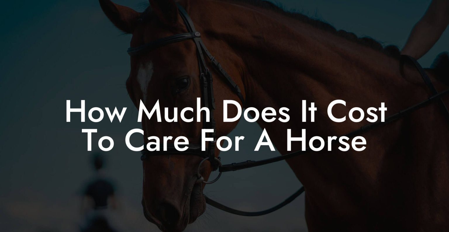 How Much Does It Cost To Care For A Horse How To Own a Horse