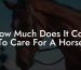 How Much Does It Cost To Care For A Horse