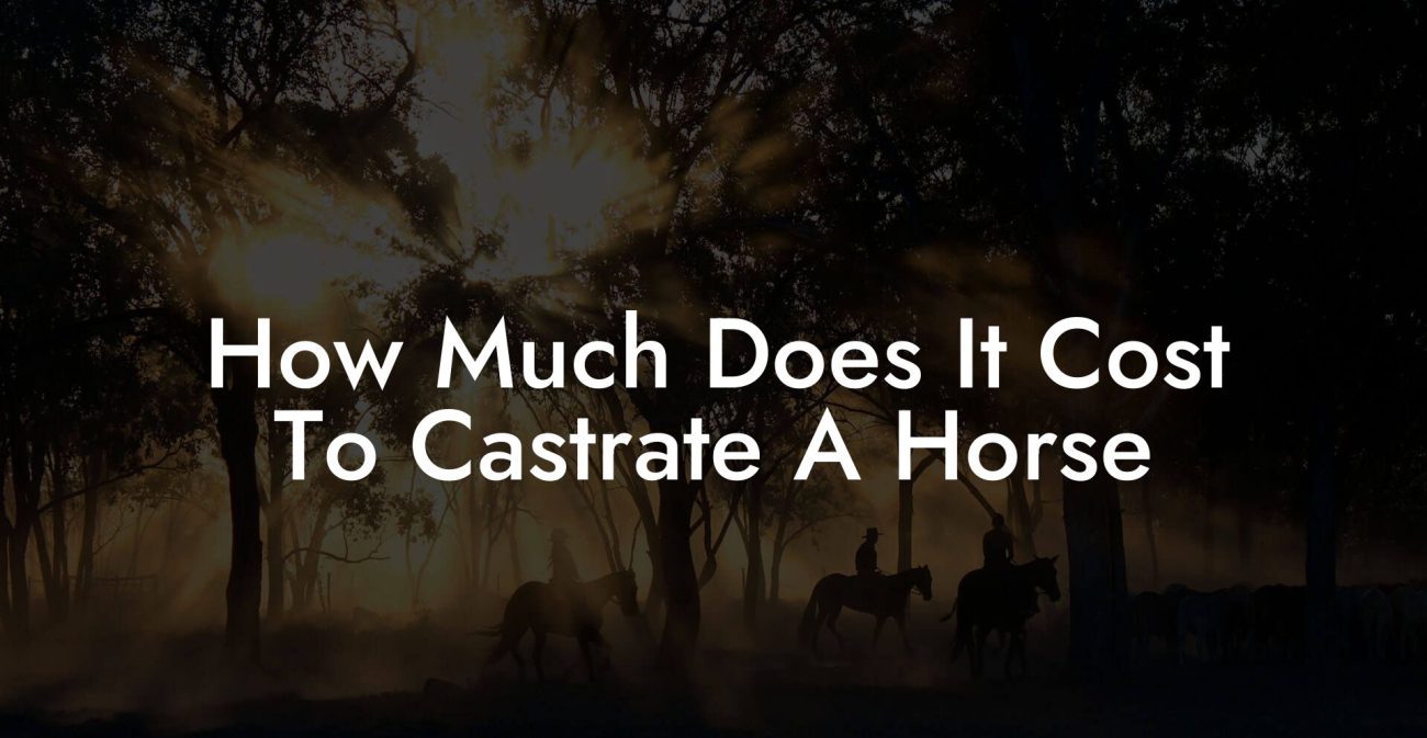 How Much Does It Cost To Castrate A Horse