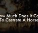 How Much Does It Cost To Castrate A Horse