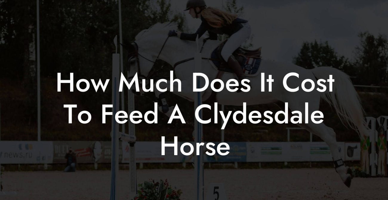 How Much Does It Cost To Feed A Clydesdale Horse