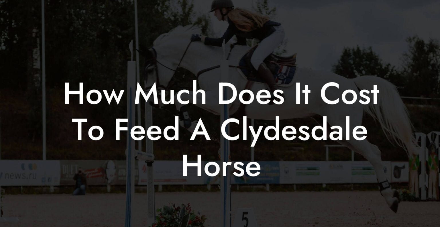 How Much Does It Cost To Feed A Clydesdale Horse How To Own a Horse