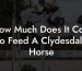How Much Does It Cost To Feed A Clydesdale Horse