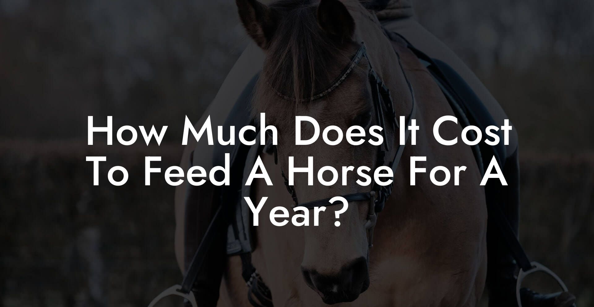 How Much Does It Cost To Feed A Horse For A Year?
