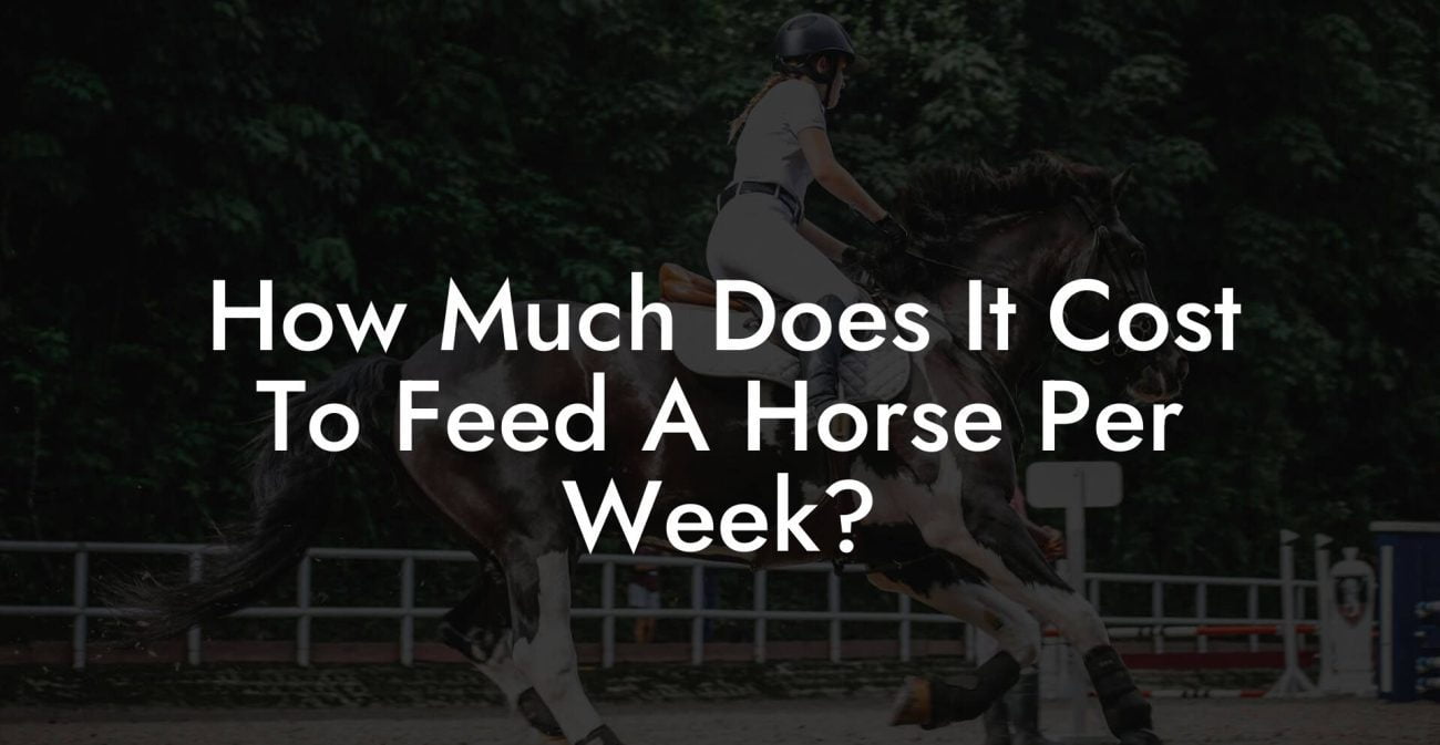 How Much Does It Cost To Feed A Horse Per Week?