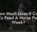 How Much Does It Cost To Feed A Horse Per Week?