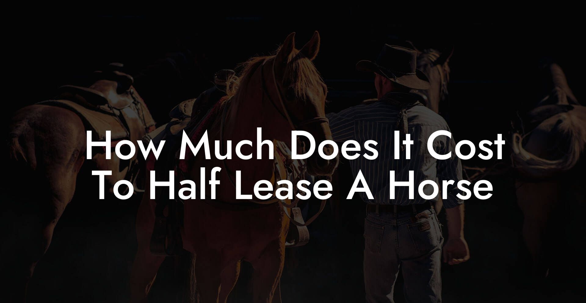 How Much Does It Cost To Half Lease A Horse