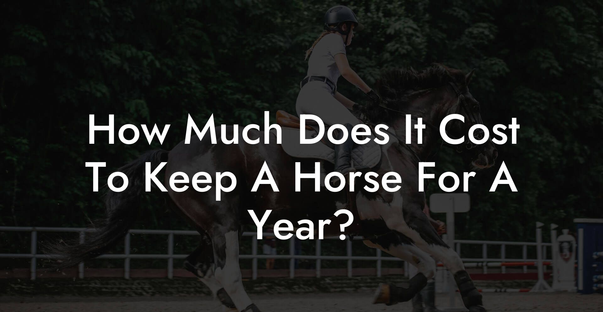 How Much Does It Cost To Keep A Horse For A Year?