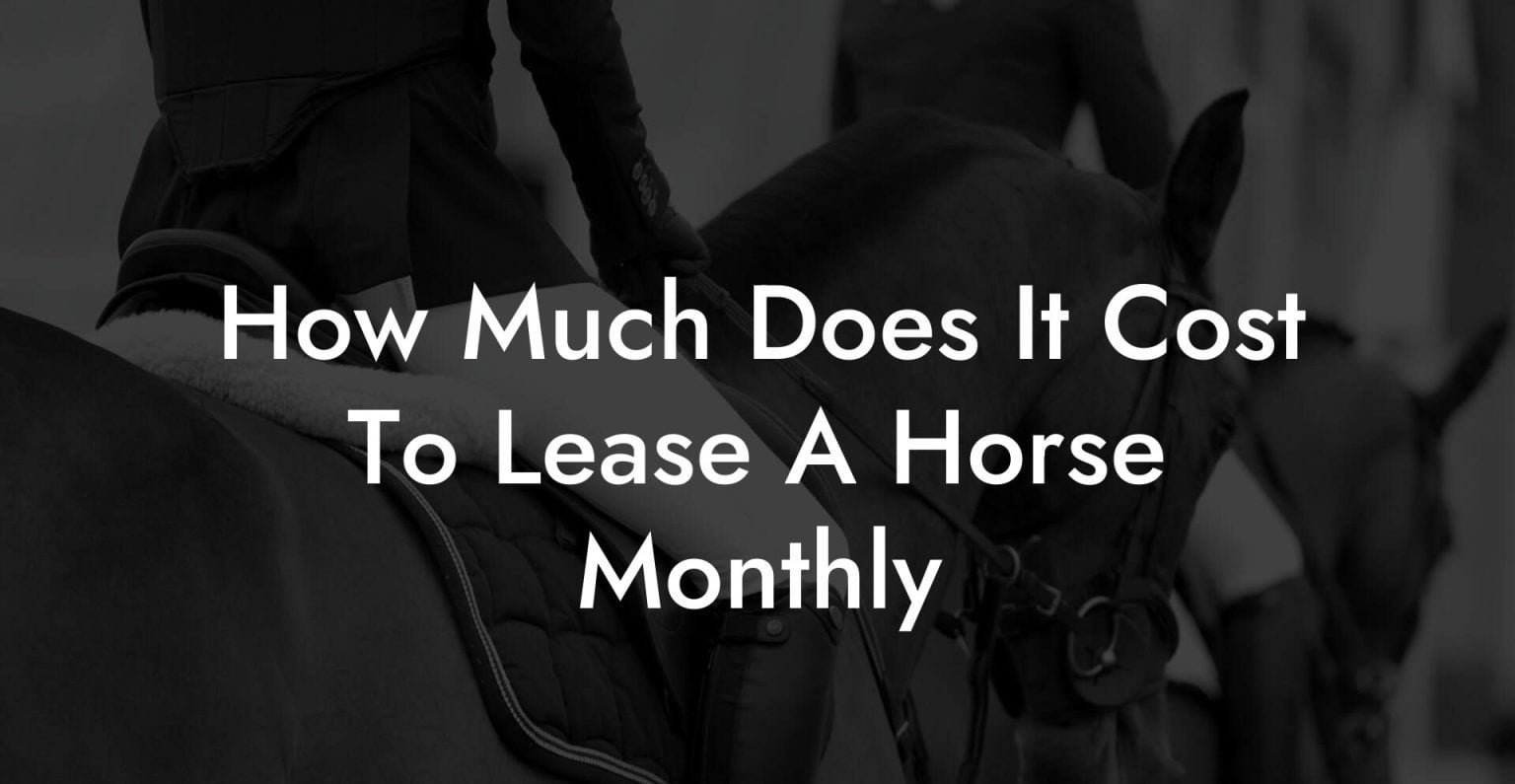 How Much Does It Cost To Lease A Horse Monthly How To Own a Horse