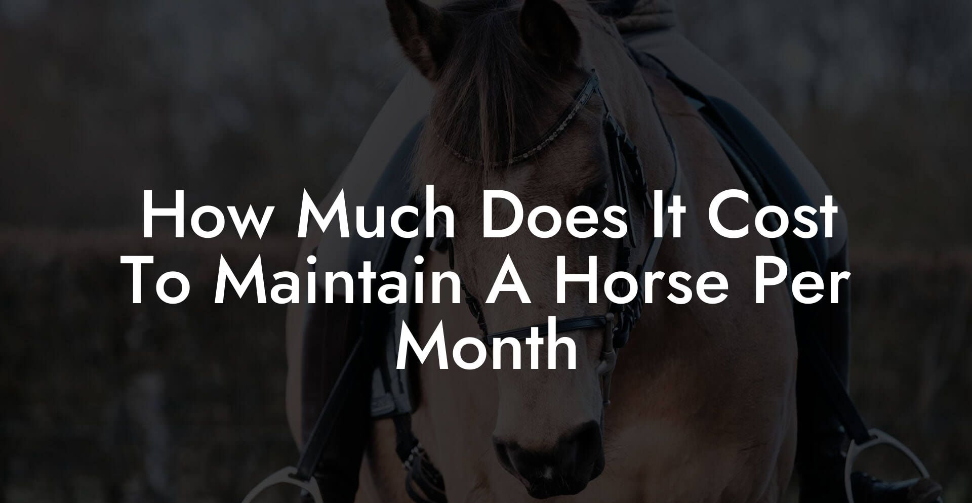 How Much Does It Cost To Maintain A Horse Per Month