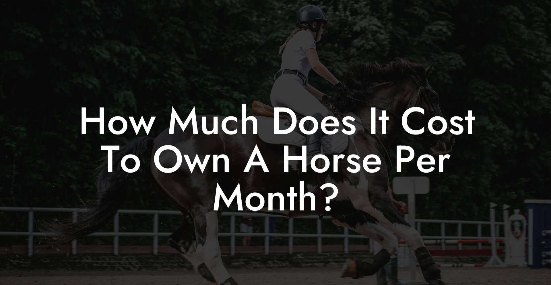 How Much Does It Cost To Own A Horse Per Month?