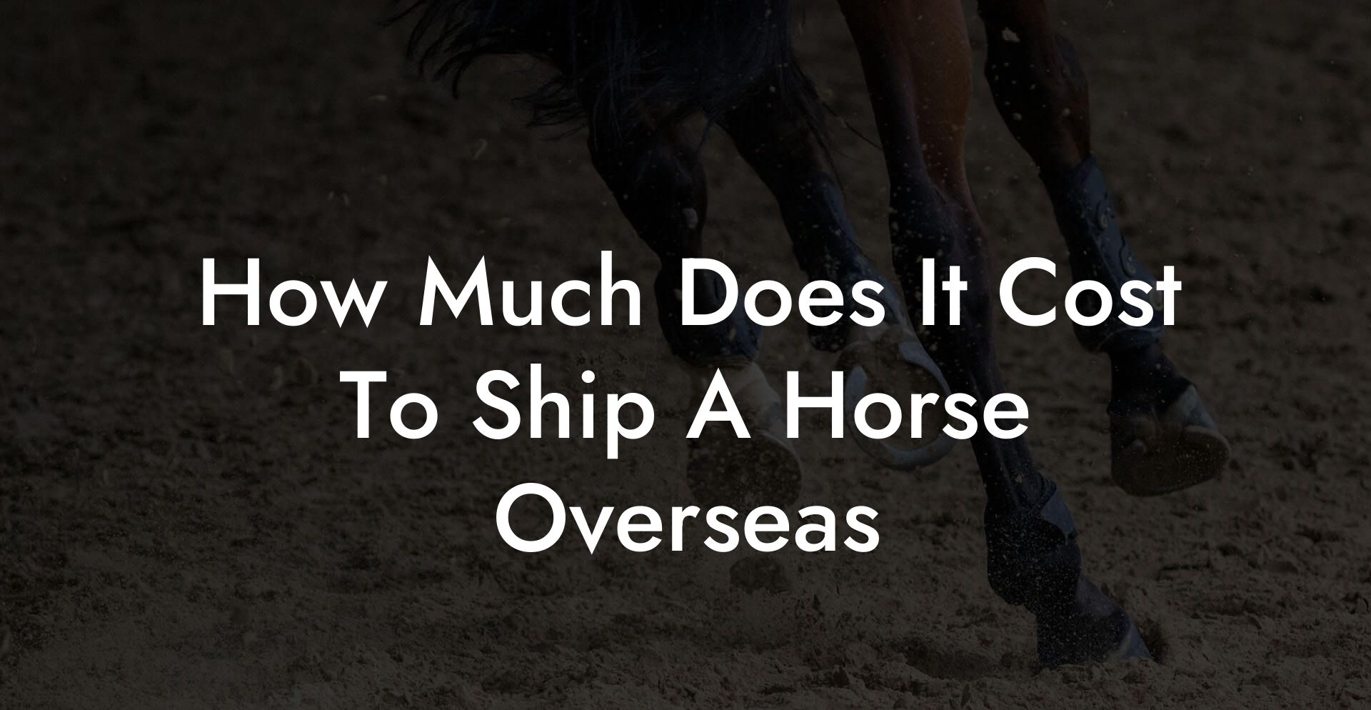 How Much Does It Cost To Ship A Horse Overseas