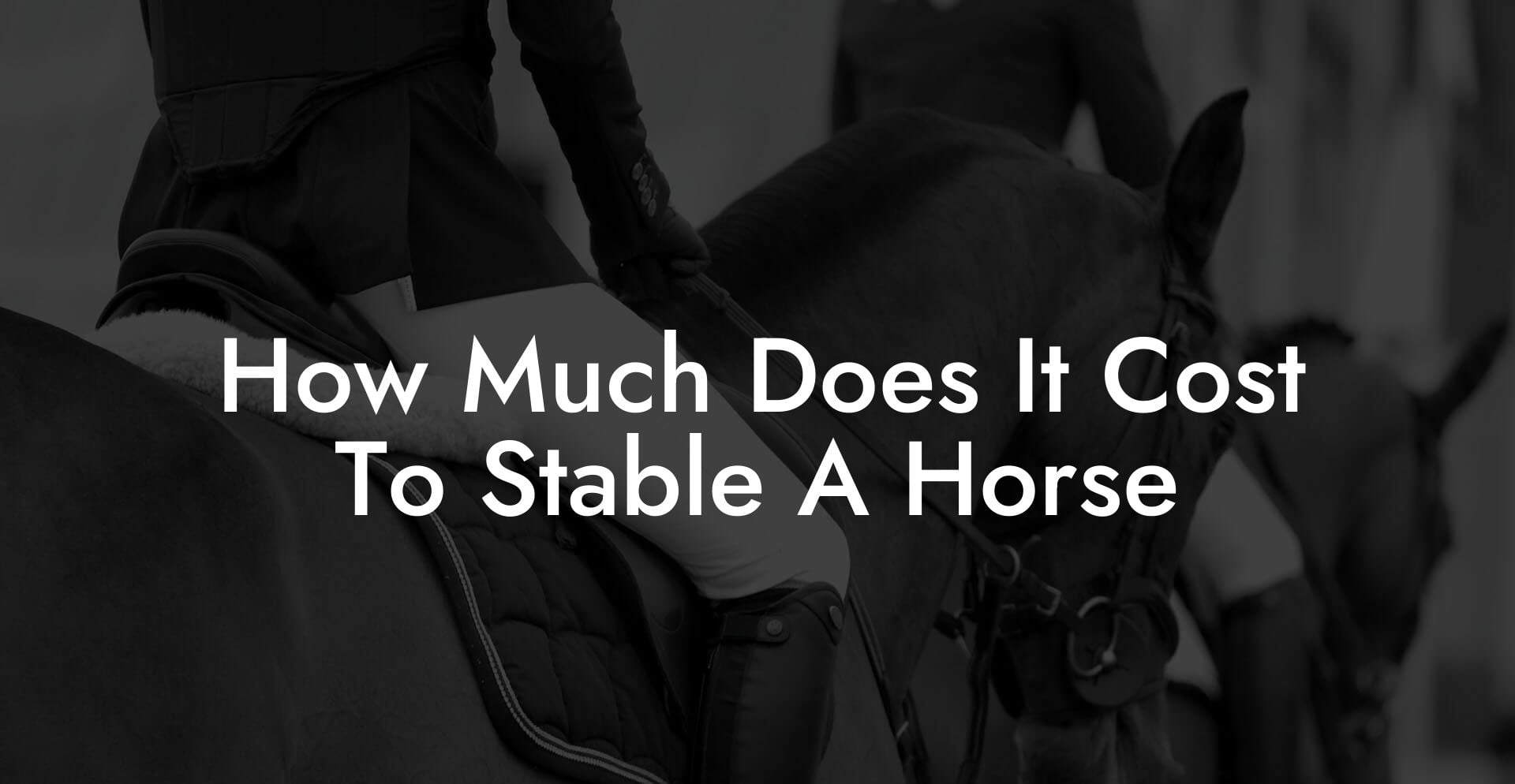 How Much Does It Cost To Stable A Horse