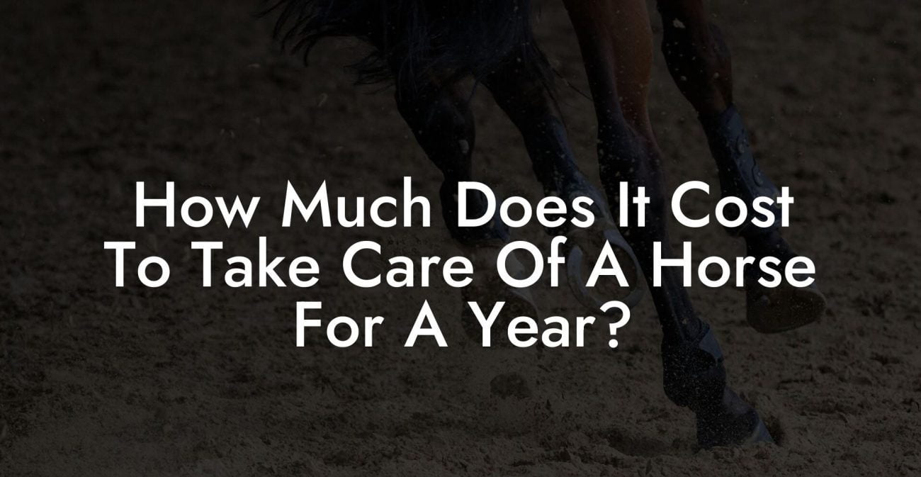 How Much Does It Cost To Take Care Of A Horse For A Year?