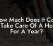 How Much Does It Cost To Take Care Of A Horse For A Year?