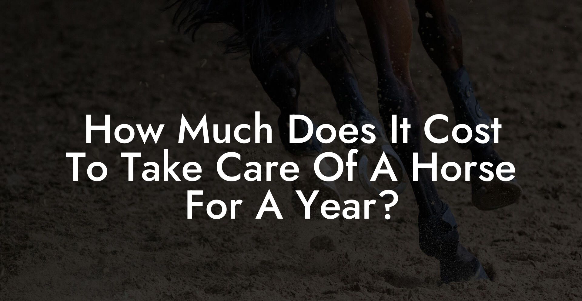 How Much Does It Cost To Take Care Of A Horse For A Year? How To Own a Horse