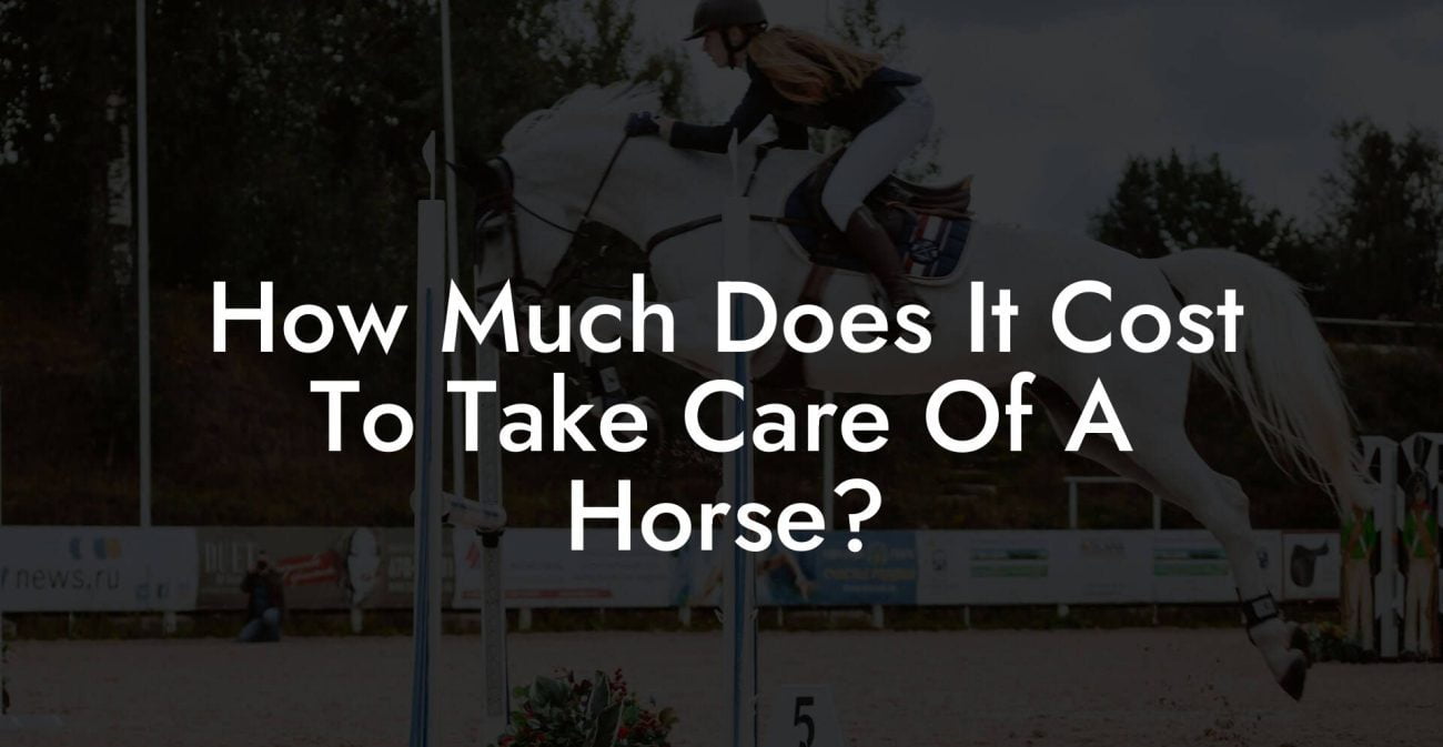 How Much Does It Cost To Take Care Of A Horse?