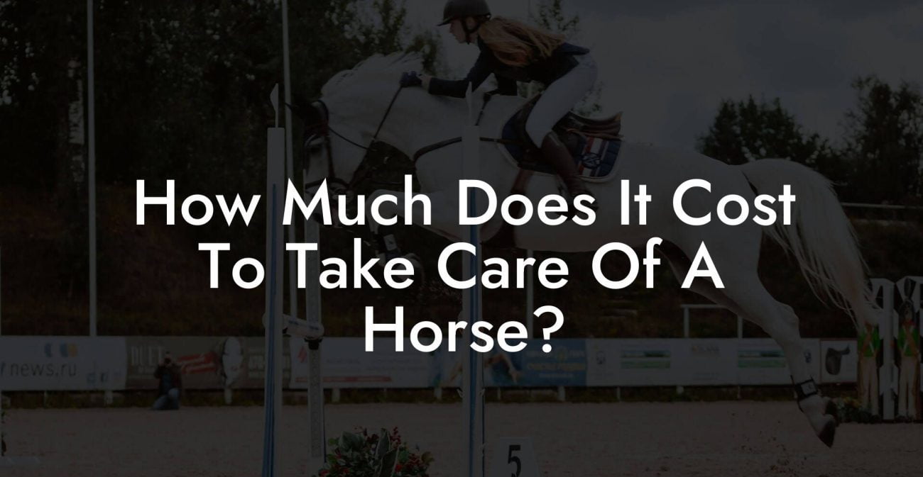 How Much Does It Cost To Take Care Of A Horse