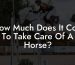 How Much Does It Cost To Take Care Of A Horse