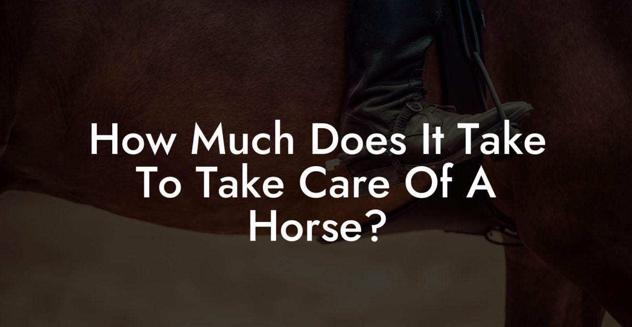 How Much Does It Take To Take Care Of A Horse?
